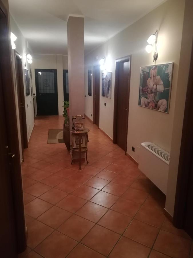 B&B Ciampino Dış mekan fotoğraf